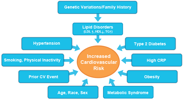 risk factors for CVD