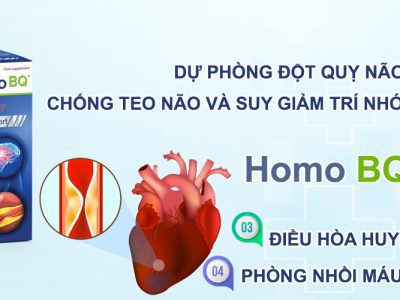 Homo BQ có Coenzym Q10, Acid Folic nên bảo vệ tim mạch