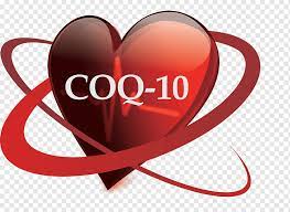 Coenzym Q10, Homo BQ bảo vệ tim mạch