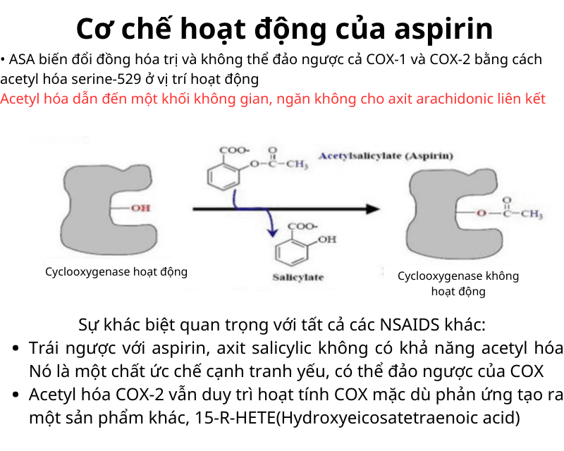 Cơ chế hoạt động của aspirin